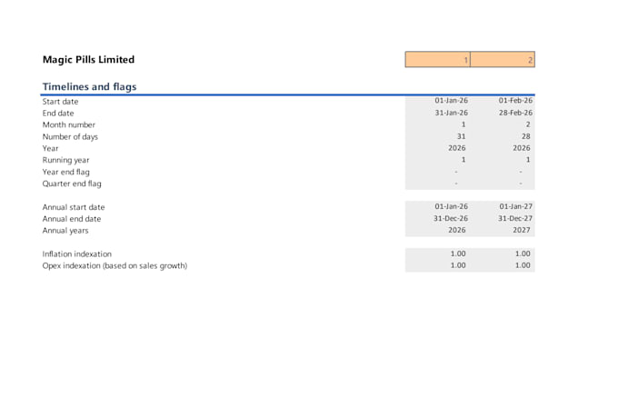 build a professional financial model or analysis in excel